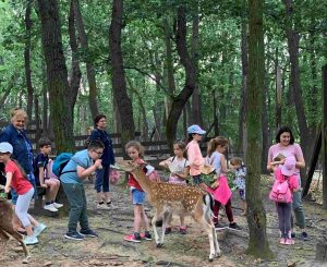 Házaskör @ Budakeszi Református Templom | Budakeszi | Magyarország